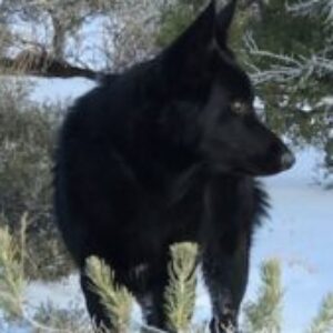Profile photo of Clare